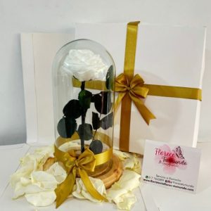 Rosa preservada blanca en caja sorpresa
