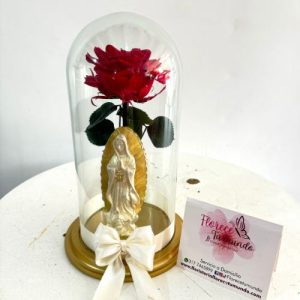 Rosa preservada roja con virgen